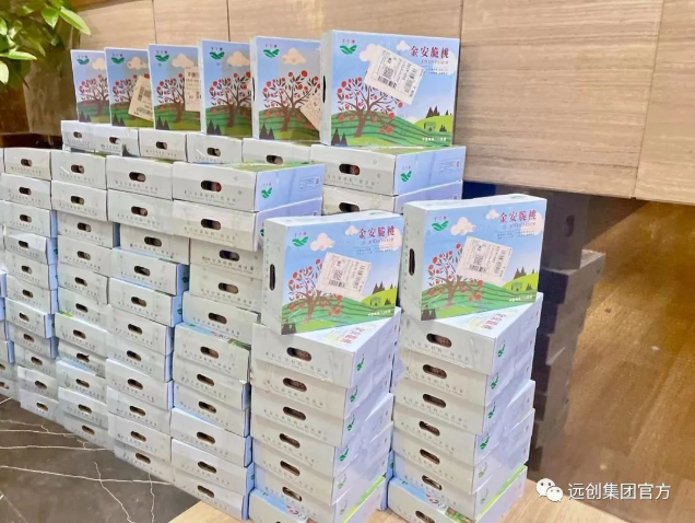 1655687378617774.png 1.png